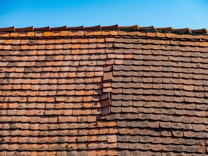 Weathered clay roof tiles with moss growing on them and one tile slipped out of line
